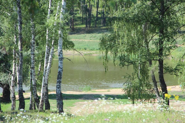 За что спассцы любят лес?