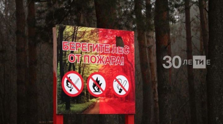 В Татарстане по нацпроекту «Экология» появятся две новые лесопожарные станции