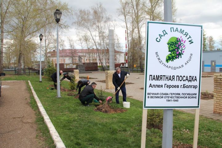 В Болгаре прошла акция «Сад Памяти»