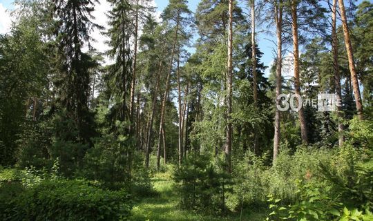 Мы – первые: Татарстан вышел в лидеры конкурса туристско-рекреационных зон РФ