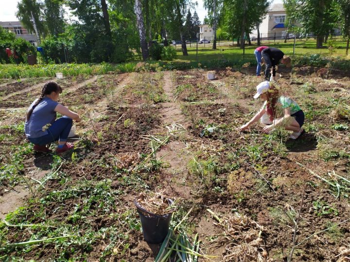 Болгарские школьники получат зарплату