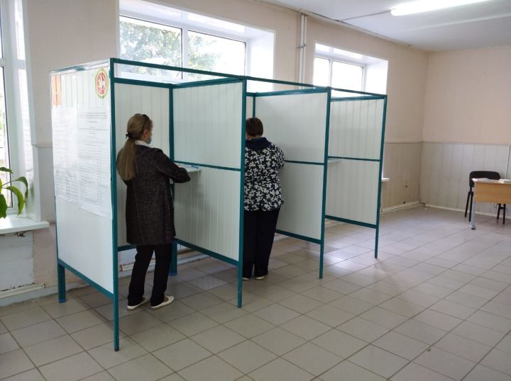 На предварительных выборах в Спасском районе проголосовало более половины жителей