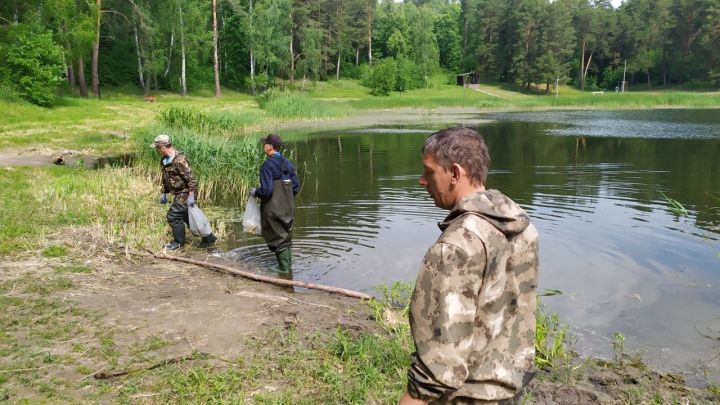 Учащиеся «Регата», совместно с педагогами и сотрудниками очистили озеро Рабиги