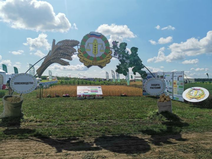 «Россельхозцентр» по РТ представил тематическую экспозицию на выставке "АГРОВОЛГА 2021"