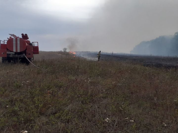 В Спасском районе возле деревни Фадеевка случился пожар