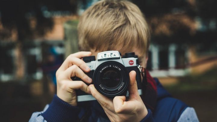 Спасские школьники могут принять участие в фотоконкурсе «Сохранение лесов в Республике Татарстан»