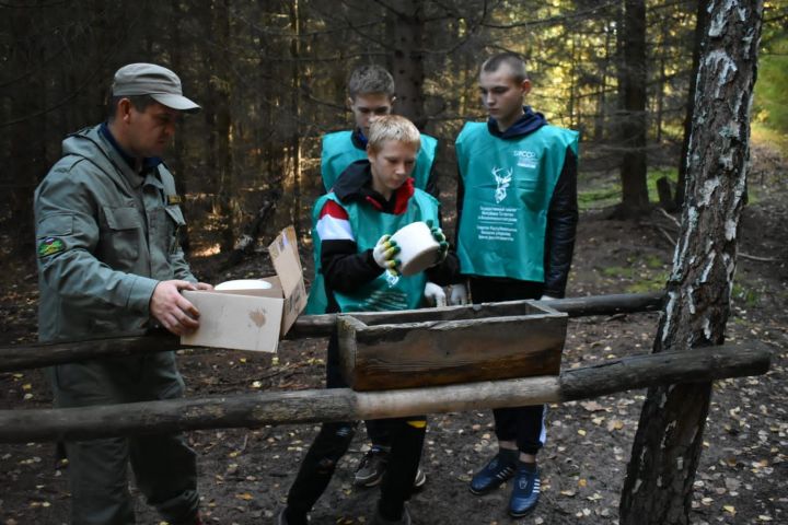 В Спасском районе начали подкармливать диких животных