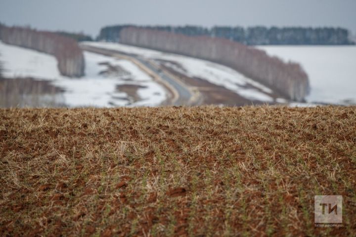 В Татарстане проверили более 1 миллиона гектаров сельхозземель