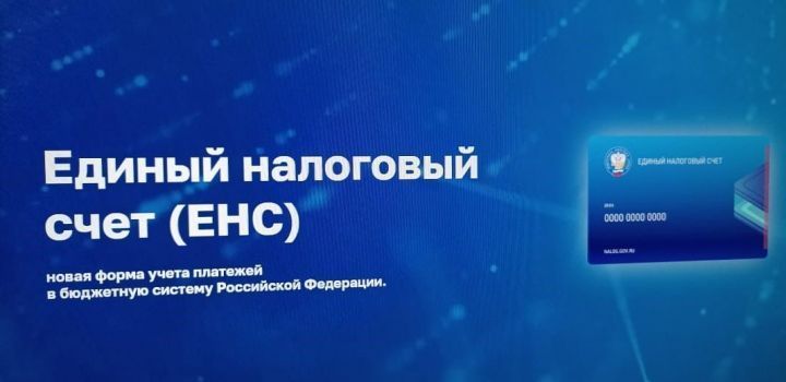 Разобраться в едином налоговом счёте спасским предпринимателям поможет промостраница ФНС