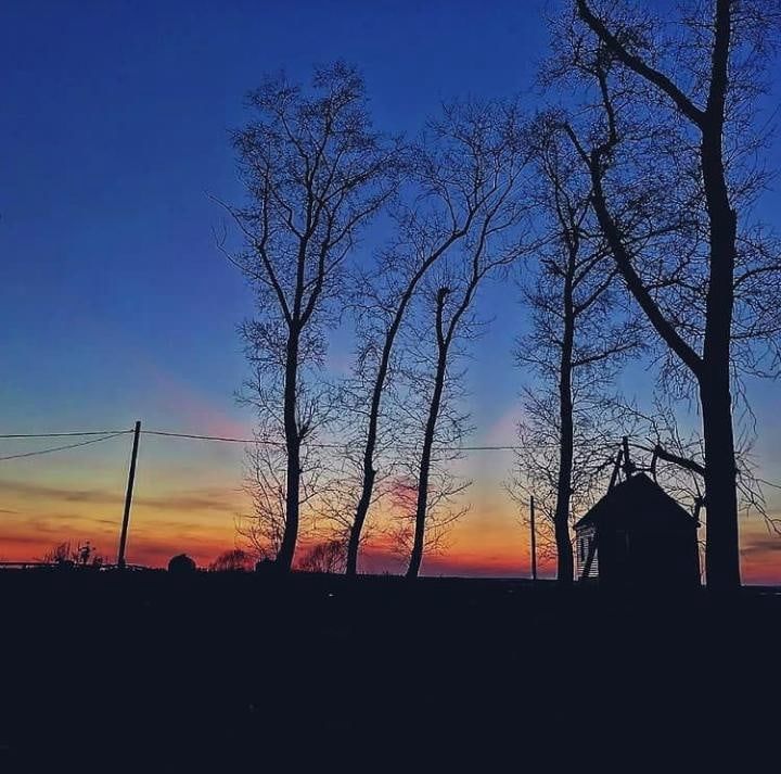 В Спасском техникуме в режиме онлайн прошла фотовыставка «Родной мой край»