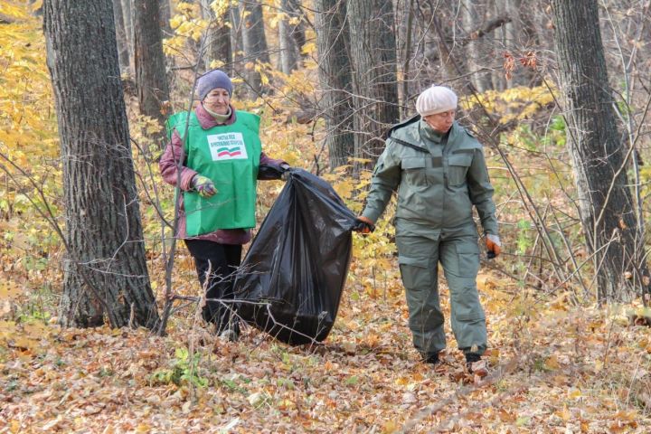 Спассцы могут присоединиться к природоохранной акции «Чистые леса Татарстана»