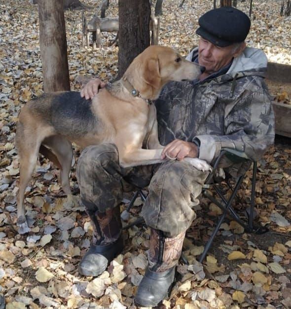В Спасском районе пройдёт первая выставка собак охотничьих пород