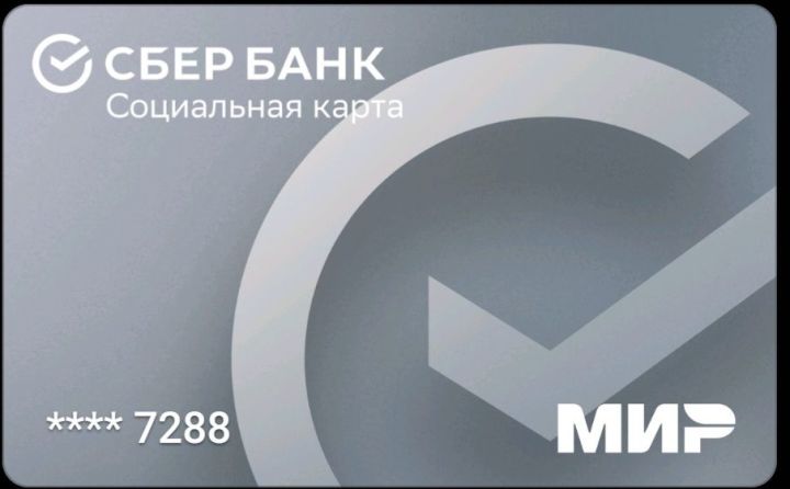 Новые детские выплаты можно будет получить на карту «Мир» или на Почте России