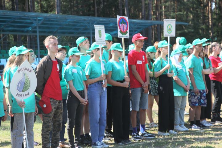 Школьница из Спасского района стала призёром конкурса «Юный лесовод»