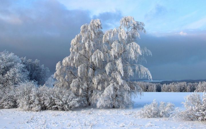 Народные приметы на 10 января 2022 года: что нельзя делать в Домочадцев день