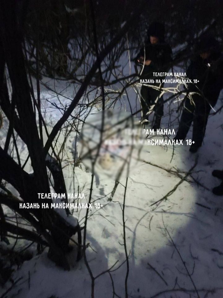 В Татарстане обнаружены человеческие останки