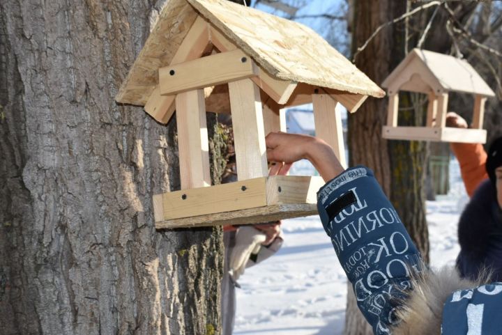 Ученики первой школы Болгара  приняли участие в акции «Покорми птиц зимой»