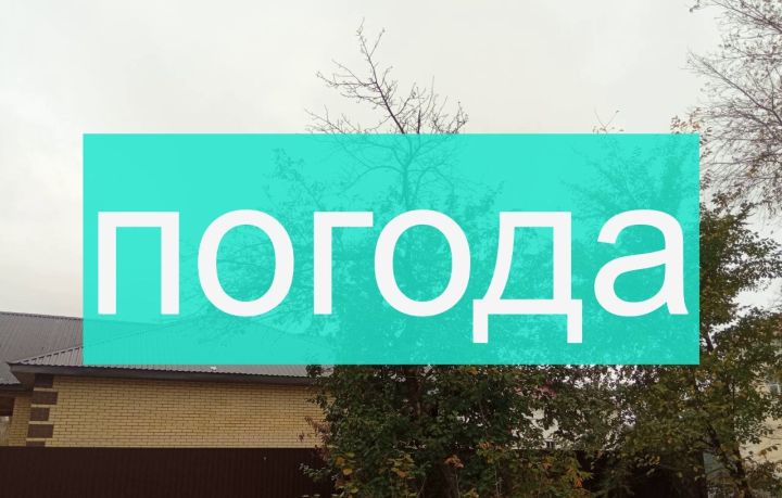 Погода на четверг 12 октября
