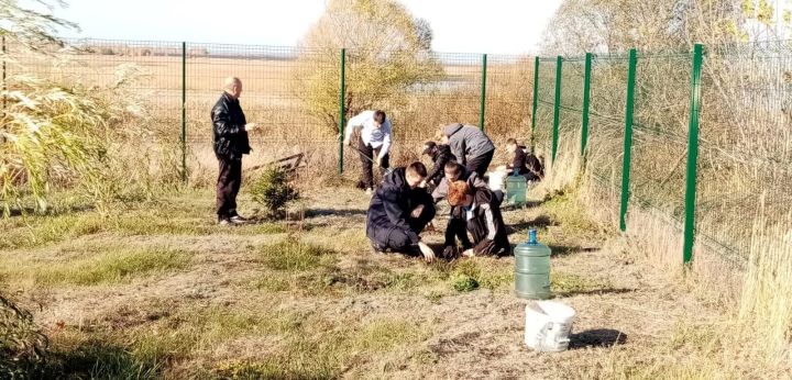 В парке «Памяти павших» села Ким высадили хвойные деревья