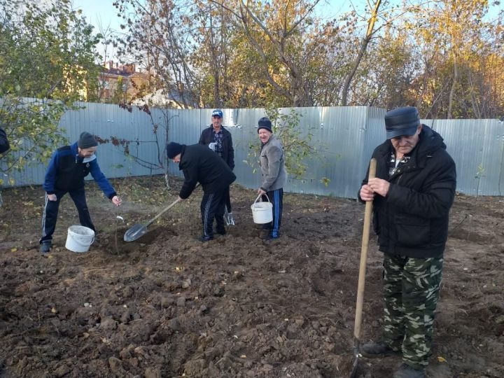 В Спасском доме-интернат разбили фруктовый сад