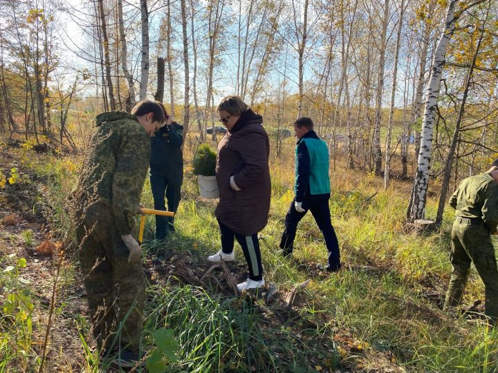 16 октября в Спасском районе состоялась акция «Сохраним лес»