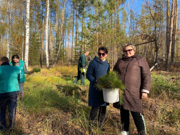 16 октября в Спасском районе состоялась акция «Сохраним лес»