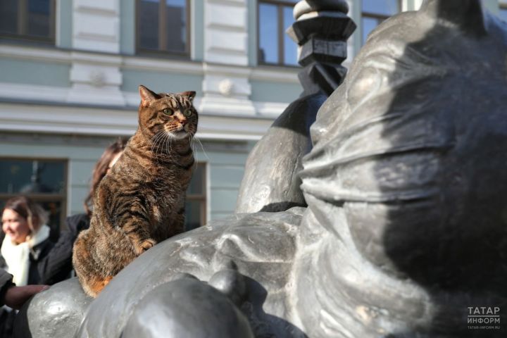 В Татарстане было предложено создать праздник - День Кота Казанского