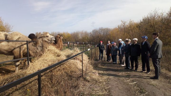 Подопечные Спасского дома-интерната посетили  «Ферму верблюдов»