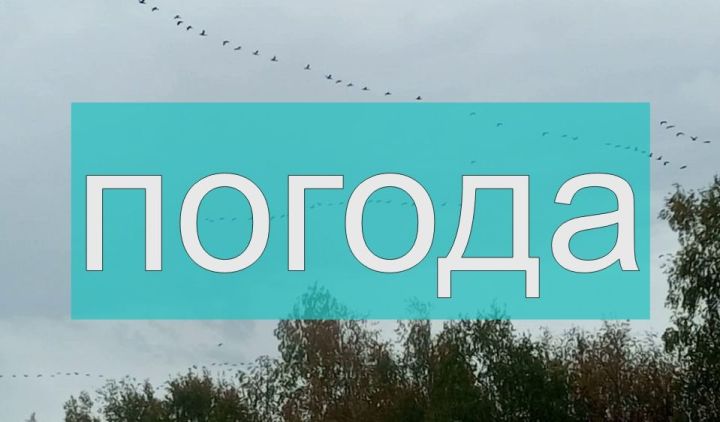 Погода на воскресенье 8 октября