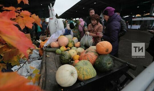 За 10 дней ярмарок в Татарстане фермеры продали сельскохозяйственную продукцию на 789 млн рублей