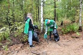 Минлесхоз РТ подвело итоги осеннего этапа республиканской природоохранной акции «Чистые леса Татарстана»