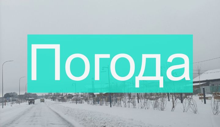 Погода на вторник 28 ноября