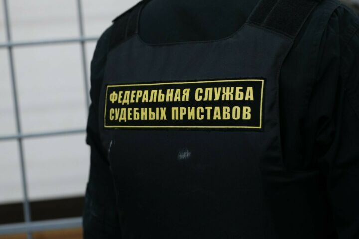 Судебные приставы будут принимать только по предварительной записи