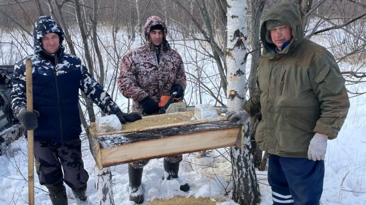 Сотрудники охотничьих хозяйств подкармливают лосей, косуль и зайцев