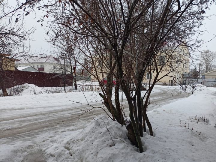 Новая неделя в РТ начнется с сильного ветра, дождя и метели