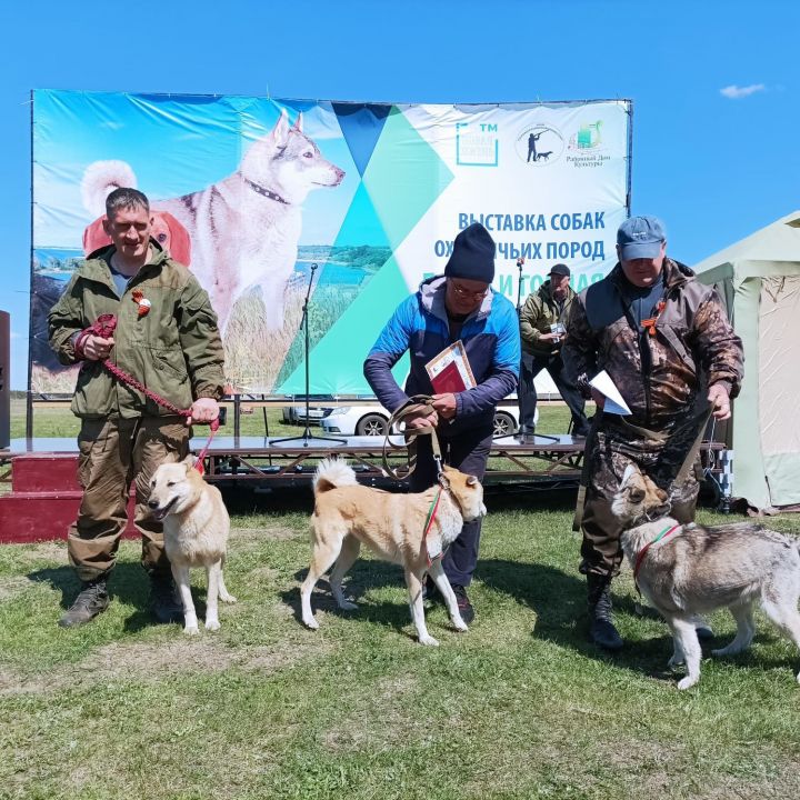 В Спасском районе пройдёт вторая выставка собак охотничьих пород