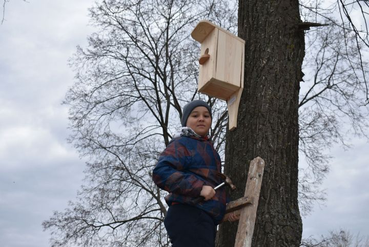 Юные спассцы подарили птицам новые дома