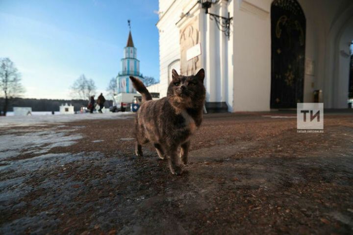 В столице Татарстана установлен очередной температурный рекорд