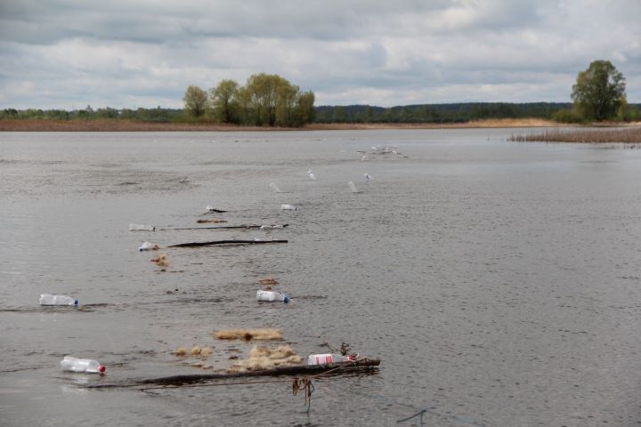 В акватории Куйбышевского водохранилища установили более 4000 искусственных гнёзд для нереста