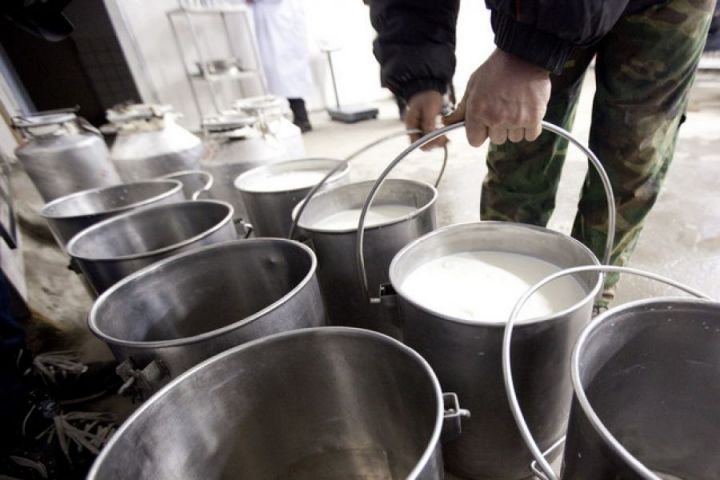 В Минсельхозпроде Татарстана обсудили переработку молока по испанской технологии