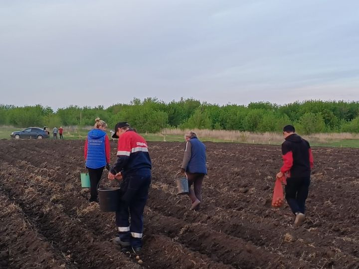 Активисты Молодёжного парламента Спасского района и волонтёры в поле