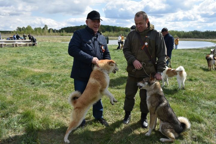 В Болгаре прошла выставка охотничьих собак