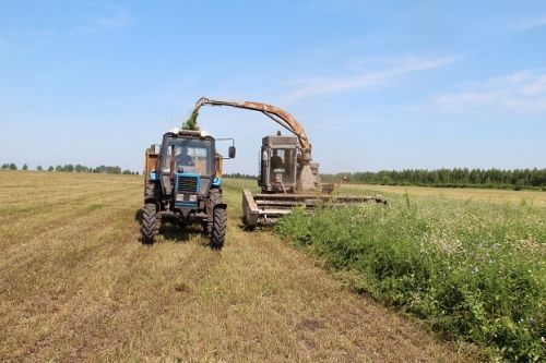 В Спасском районе полным ходом идёт уборка кормов