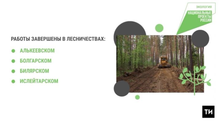 В Татарстане в рамках национального проекта «Экология» строятся дороги для лесопожарной техники