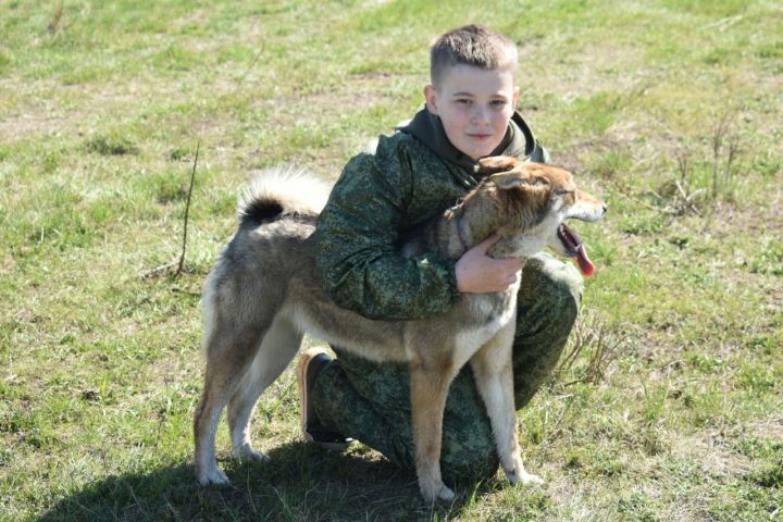 В Казани в этом году построят четыре новые муниципальные площадки для выгула собак
