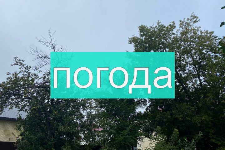 Погода на вторник 1 августа