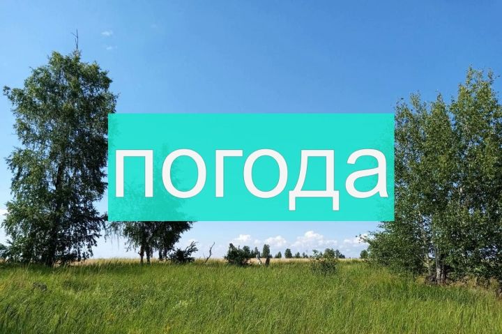 Погода на субботу 8 июля