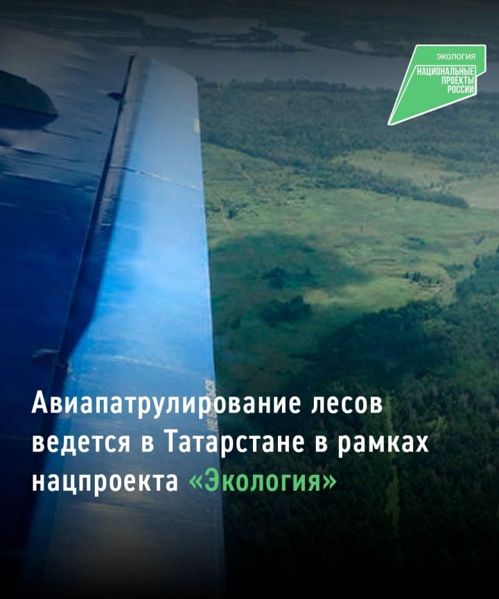 С начала пожароопасного сезона в лесах Татарстана проведено 30 авиапатрулирований