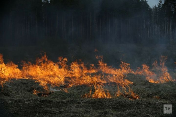 В лесах Спасского района объявлена пожароопасная ситуация