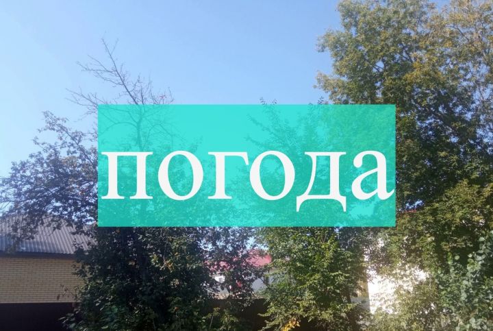 Погода на субботу 19 августа